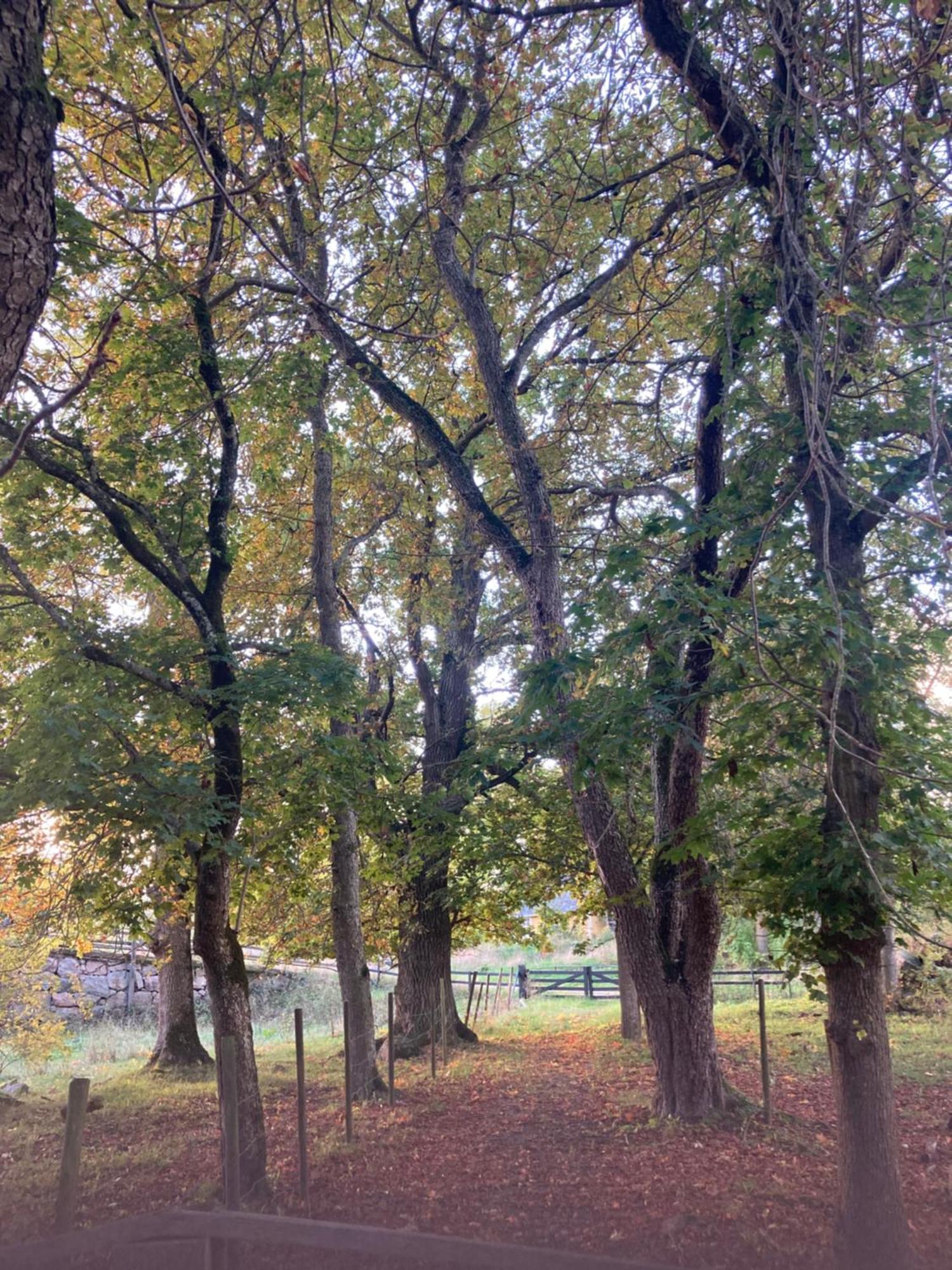 Brygghuset Linköping